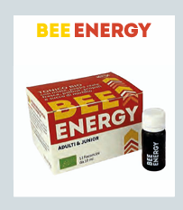 Bee Energy