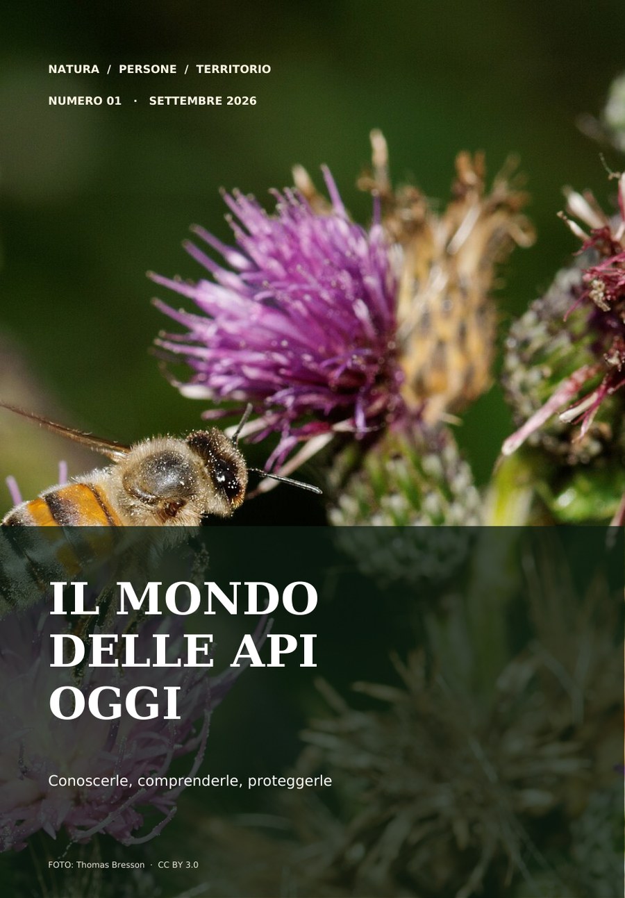 Copertina Il mondo delle api oggi Numero 01